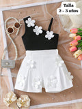 CONJUNTO DE MIÑA