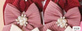 SET DE 2 GANCHOS ROSA DE CABELLO